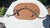 Pre-War Brass Horse Collar For Sale - Image 3 of 7