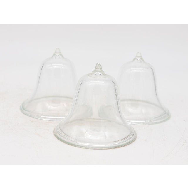 Set of 3 Glass Garden Cloches, English Mid 20th C. For Sale In New York - Image 6 of 7