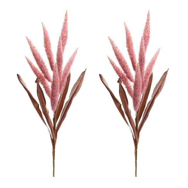 Rustic Foxtail Plume Stem (Set of 2) For Sale - Image 3 of 3