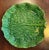 Ceramic Antique Portuguese Majolica Pottery Green Cabbage or Lettuce Leaf Serving Dish For Sale - Image 7 of 15