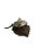 Late 20th Century Nautical Stone Stingray Sculpture on Lava Rock, Signed & Numbered, 12.5"w For Sale In Tulsa - Image 6 of 11
