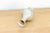 Bulbous Silhouette Ceramic Crackle Small Vase For Sale In Los Angeles - Image 6 of 6
