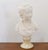 Jean-Antoine Houdon, Bust of Alexandre Brongniart, 1970s, Porcelain & Alabaster For Sale - Image 18 of 18