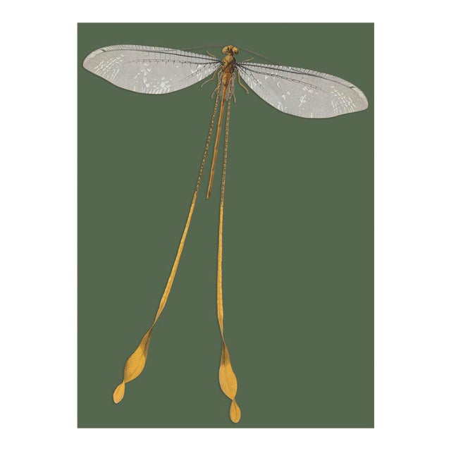 Bugs by Seguy #25 For Sale