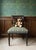 Elevate your space with this exquisite 19th-century English Regency side chair, meticulously restored using traditional...