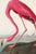 Illustration American Flamingo & Great Blue Heron Diptych, Audubon Birds of America Art Prints, 20" X 30" For Sale - Image 3 of 11