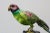 Francesco Rigozzi Hand Crafted Parrot For Sale - Image 10 of 10