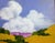 Ojai Hills Art Lynne French California landscape oil painting. The signed original painting measures 8x8 on prepared,...