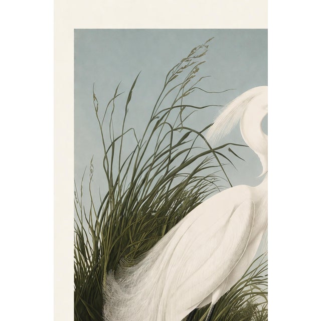 Not Yet Made - Made To Order Egret Study Wall Art, Coastal Bird Art Print, 24″ × 36″ For Sale - Image 5 of 9