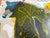 2020s “Big Boy” a Bear Painting LWren Walraven For Sale - Image 5 of 6