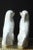 Ceramic English Staffordshire Glazed Ceramic Sculptures - a Pair For Sale - Image 7 of 11