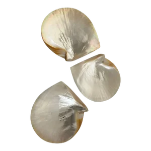 Vintage Mother of Pearl Seashell Caviar Dishes / Seafood Servers - Set of 3