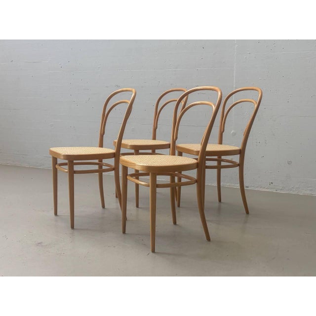 Bentwood Chair with Viennese Caning by Michael Thonet for Wohnbedarf, 1960s For Sale - Image 13 of 18