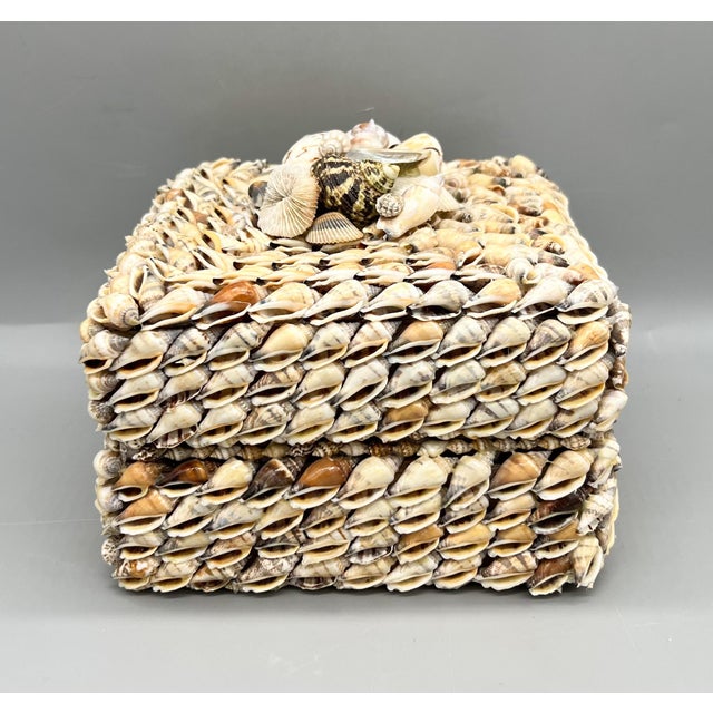 Contemporary Vintage Coastal Seashell Covered Shell Encrusted Box – Coastal / Tropical For Sale - Image 3 of 18