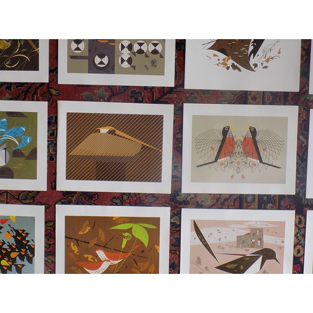 Vintage Charley Harper Modernist Abstracted Bird Lithographs (10.75" X 8.25") - Set of 12 For Sale In Cincinnati - Image 6 of 10