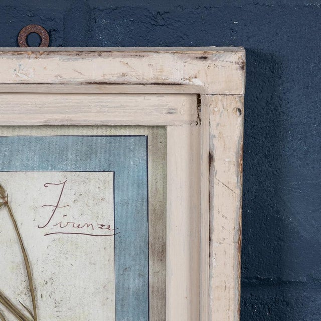 A stunning late 20th Century collection of antique pressed flowers and herbs, each preserved and labeled with handwritten...