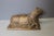 Sculpture depicting a reclining cow, carved from wood, origin India, 19th century, overall in good condition