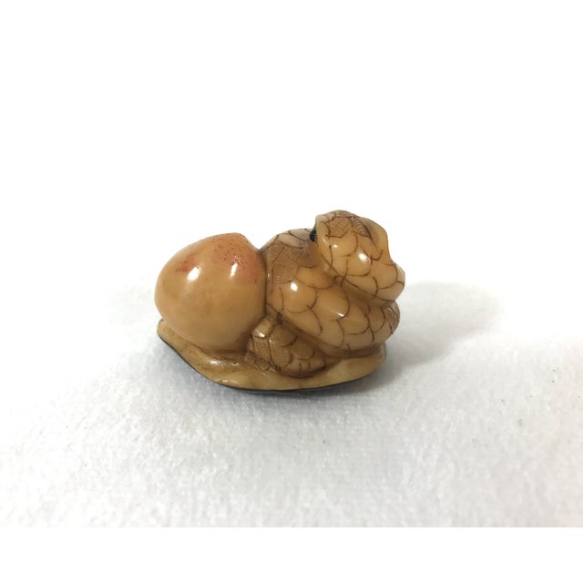 Chinoiserie 1980's Chinese Netsuke Style Coiled Snake Carving With Long Life Peach For Sale - Image 3 of 6