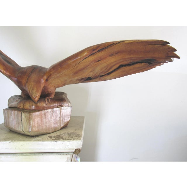 This is a large carved eagle sculpture by Leo Moore. It is carved from a 1275-Year-Old Tree stump in New Mexico. I...