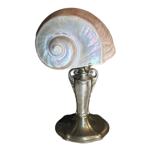 Small Seashell Table Lamp