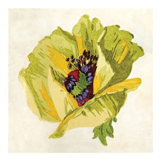 Pignier, Flowerhead 1, Unframed Artwork For Sale