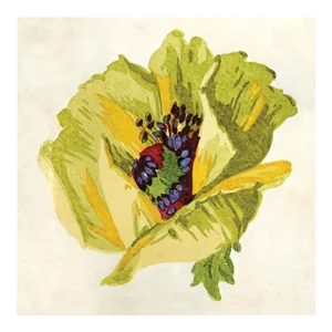Pignier, Flowerhead 1, Unframed Artwork