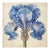Blue Iris No. 3 – Antique Botanical Fine Art Print For Sale