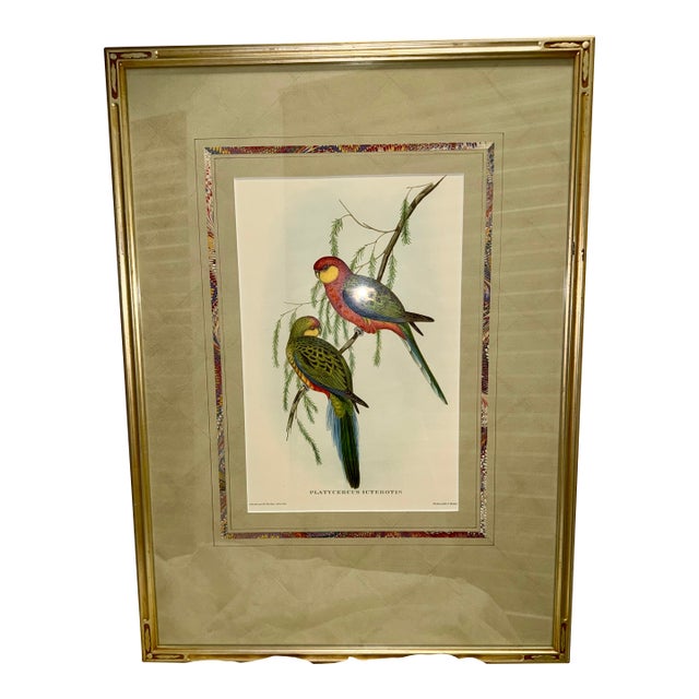 John Gould Original 1848 “Platycercus Icterotis” Hand-Colored Bird Lithograph For Sale