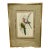 John Gould Original 1848 “Platycercus Icterotis” Hand-Colored Bird Lithograph For Sale