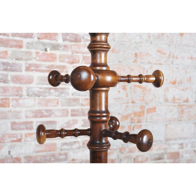 Czech Biedermeier Beech Coat Hanger, 1890s For Sale - Image 4 of 10