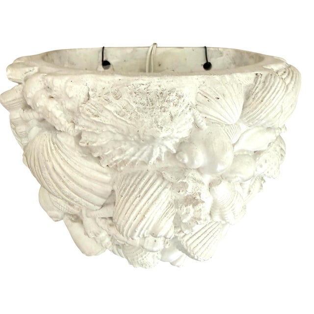 Richard Etts Richard Etts Plaster Shell Sconces For Sale - Image 4 of 12