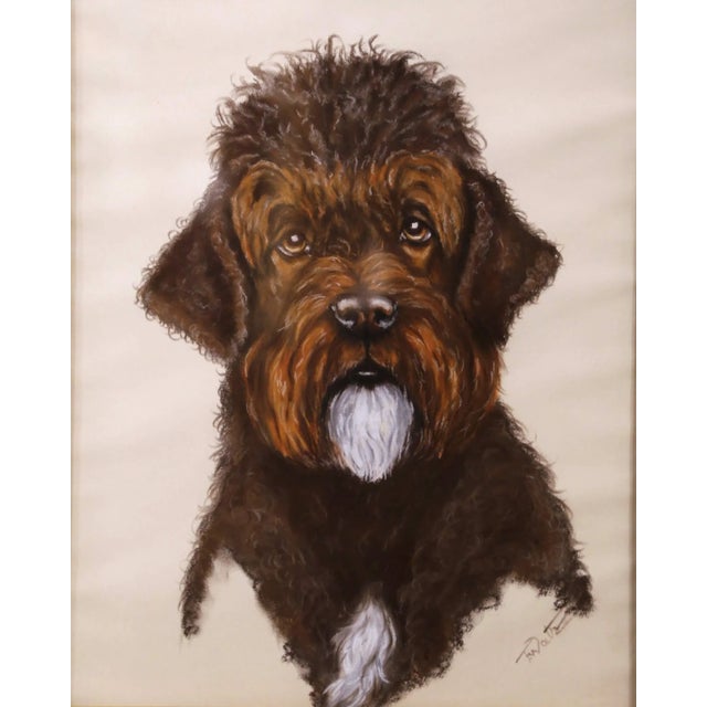 English 19th Century English Framed Cocker Spaniel Puddle Mix Pastel Signed F. Watz For Sale - Image 3 of 11