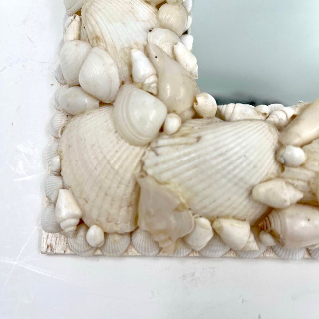 Wood Vintage Shell Encrusted Mirror Antique White Shells For Sale - Image 7 of 12