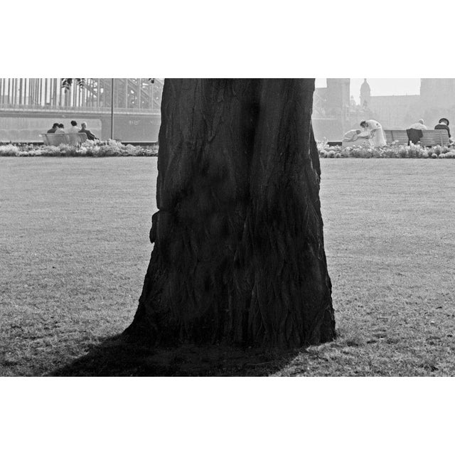 Cologne 1935, Germany, 2012 For Sale - Image 3 of 5