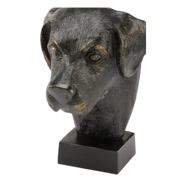 Dex For Sale In Raleigh - Image 6 of 6