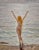 Joseph Tomanek–Nude Nymph Greeting the Sea –1920s American Impressionist Oil Painting For Sale - Image 9 of 11