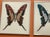 Michele Astolfi, Red Butterfly, 2000s, Mixed Media, Framed For Sale - Image 3 of 7