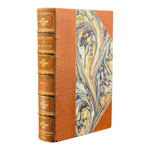 Antique Book, Adventures of Mr Ledbury, Albert Smith, Novel, Literature, c.1886