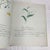Slate Gray A Shaker Sister’s Drawings - Wild Plants Illustrated by Cora Helena Sarle - Hardcover Book - 1997 For Sale - Image 8 of 10