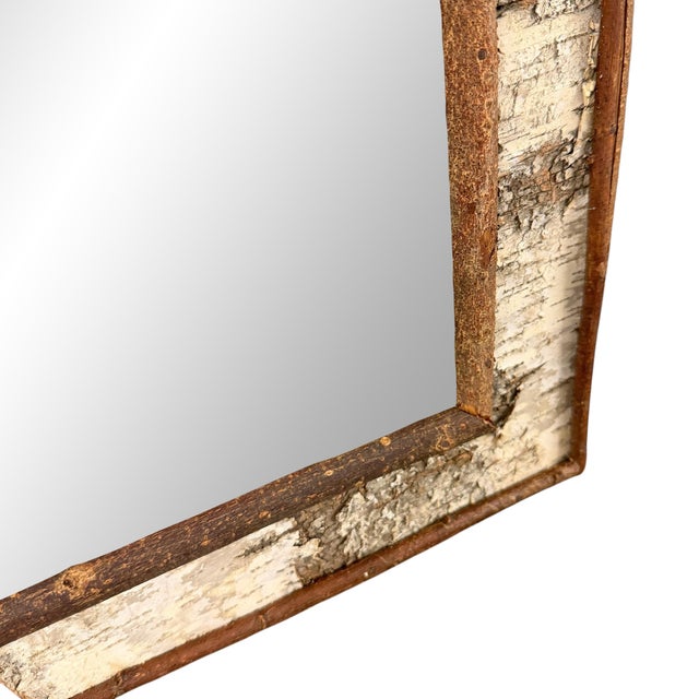 Vintage American Birch Bark Framed Mirror For Sale - Image 10 of 11