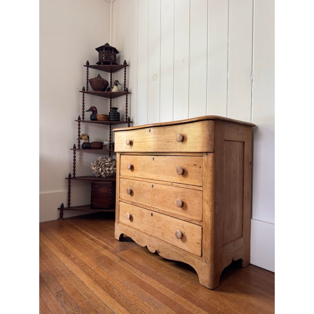 Early 19th Century American Scrubbed Pine Chest of Drawers For Sale - Image 9 of 11