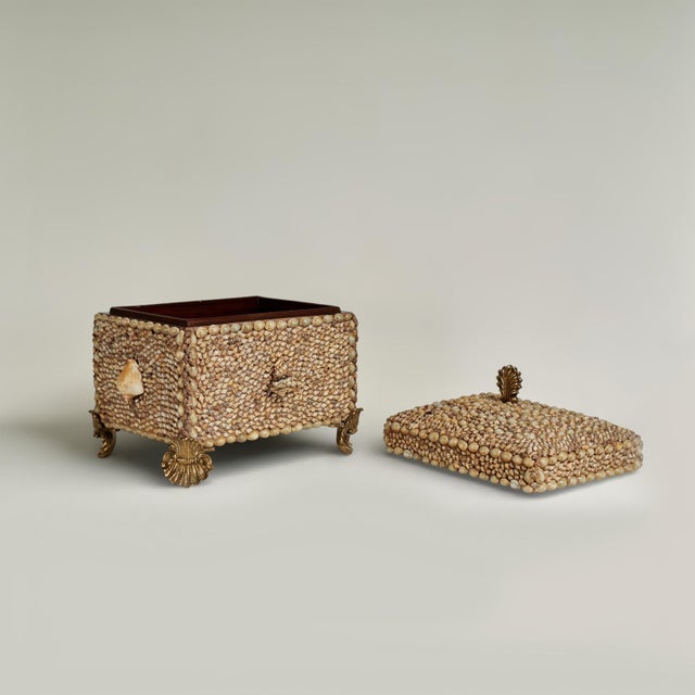 Tan Vintage Seashell Encrusted Box by Maitland Smith For Sale - Image 8 of 11