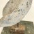 Late 20th Century Painted Fiberglass Bird Sculpture on Stand For Sale In New York - Image 6 of 8