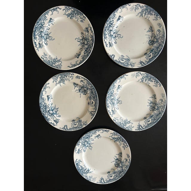 Terre De Fer Dinner Plates from Louis Graves, 1890s, Set of 13 For Sale - Image 5 of 13