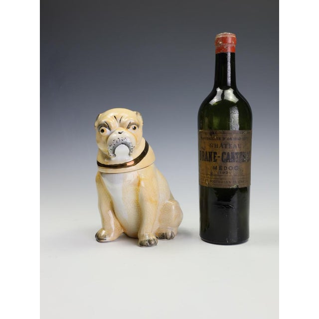 Seated Pug Tobacco Jar from Staffordshire Pottery, 1900 For Sale - Image 3 of 18
