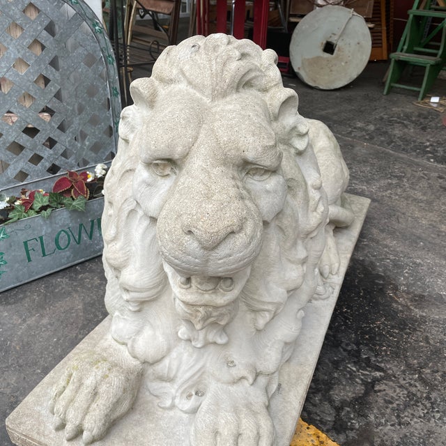 Vintage Large Concrete Lion Statue With Roaring Expression Chairish