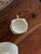Late 19th Century Royal Worcester Teacup & Saucer For Sale In Miami - Image 6 of 7