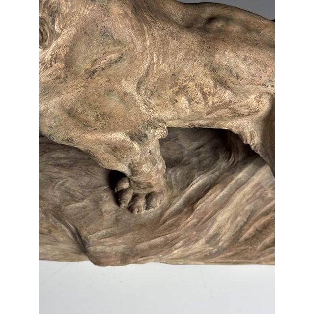 Brown Armand Fagotto, Lion, Terracotta For Sale - Image 8 of 18