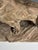 Brown Armand Fagotto, Lion, Terracotta For Sale - Image 8 of 18