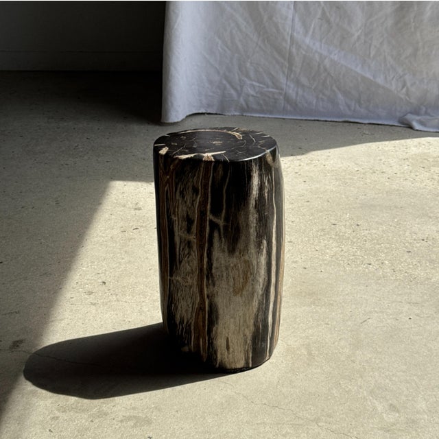 Side Table in Black Petrified Wood with White Sides and Beige Striations, 1980s For Sale - Image 4 of 18